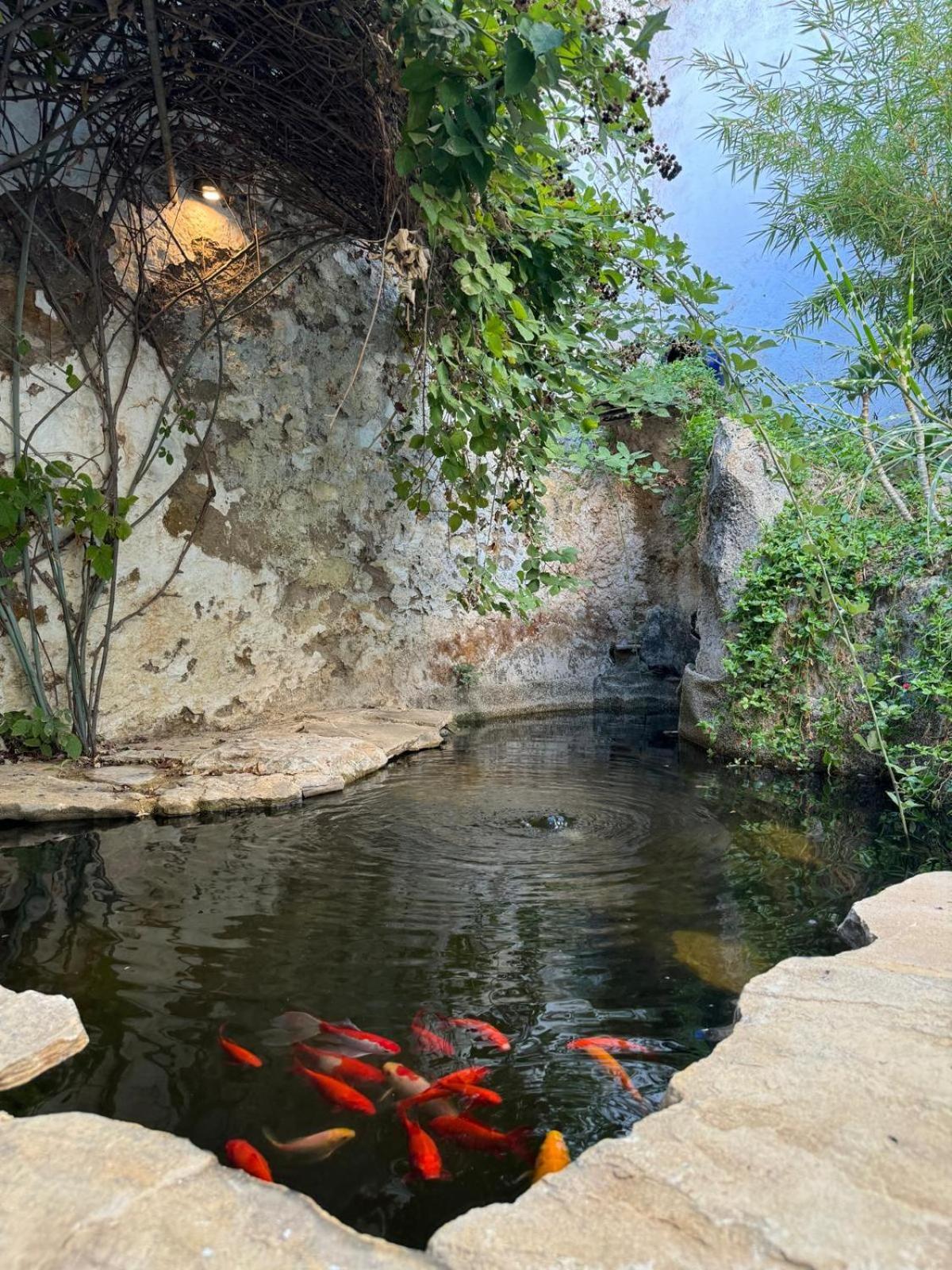 Despertar Villa Antequera Exterior photo